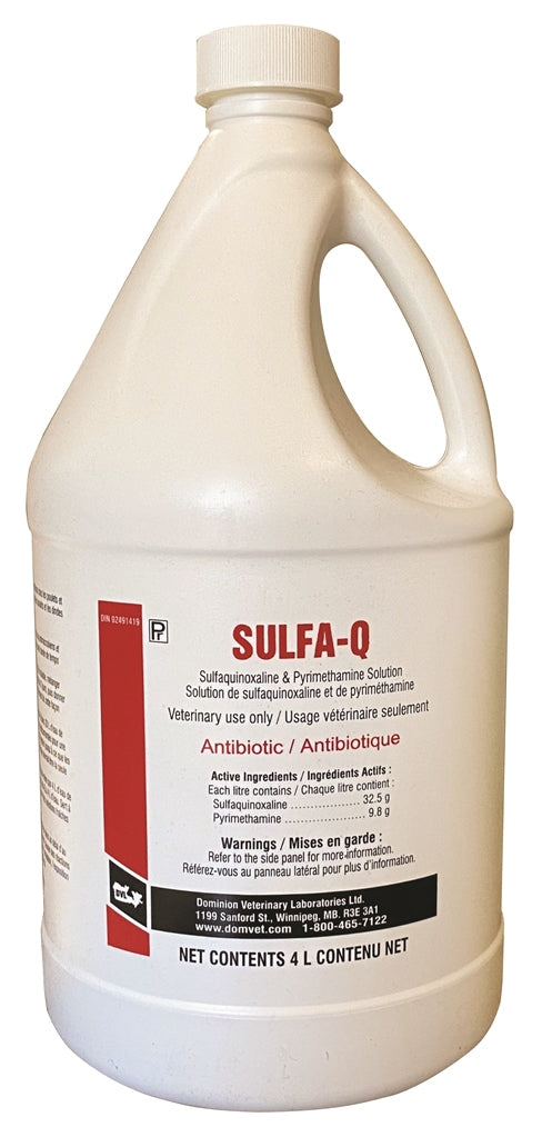 SULFA-Q 4L prevention and treatment of Coccidiosis in chickens and turkeys.
