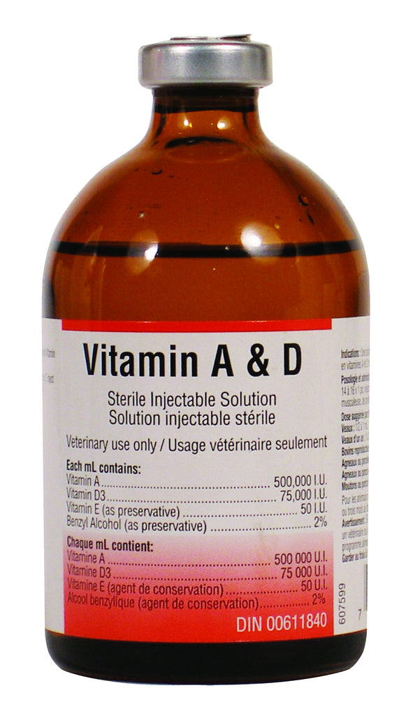 A D INJECTABLE Cattle Supply Treatment of deficiencies in vitamin A and D in cattle sheep and pigs