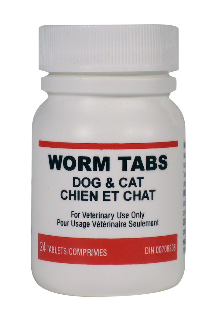 Worm medicine for outlet cats and dogs