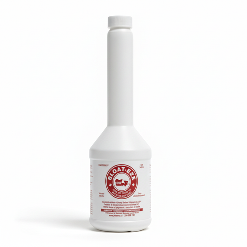 Bloat-Eze Oral Solution on a clean white background