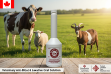 Bloat-Eze – Revised Product Banner