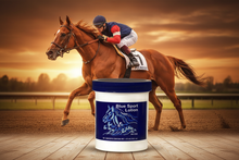 Blue Sport Lotion 475mL – Hero Banner