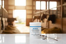 Borax 400g – Product Banner