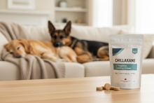 CHILLAXANE M/L – Product Banner