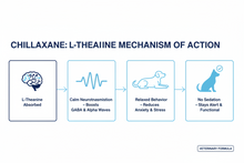 CHILLAXANE M/L | L-Theanine Calming Chews for Medium & Large Dogs