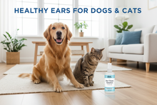 DVL Ear Clean Solution for Dogs & Cats | Veterinary Ear Cleaner