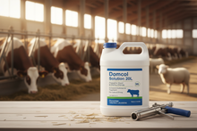 Domcol Solution 20L – Product Banner