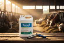 Domcol Solution 4L – Product Banner
