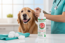 DVL Ear Clean Solution – Hero Banner