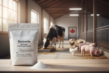 Electrovite Veterinary Electrolyte Powder – Product Banner