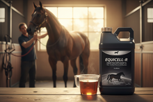Equicell-R Liquid Feed Supplement 4L – Product Banner