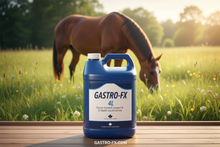 GASTRO-FX 4L – Product Banner