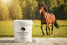 Glucosamine-MSM-Vitamin C – Product Banner