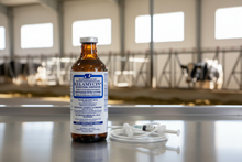 Kelamycin Intrauterine Suspension – Banner with Hero Product