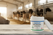 Lanovet Teat Ointment 400g – Product Banner