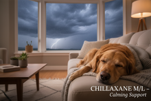 CHILLAXANE M/L | L-Theanine Calming Chews for Medium & Large Dogs
