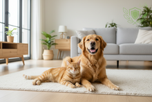 Dog & Cat Worm Tabs | Broad Spectrum Roundworm Treatment for Dogs & Cats