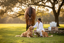 Inhibit Ointment | 1% Chlorhexidine Antibacterial & Antifungal Skin Ointment