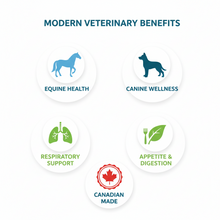 Buckley's ZEV Horses & Dogs Cough Remedy supports a horse's  & dogs respiratory system.