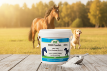MSM Powder 1.36kg – Product Banner