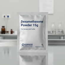 Prescription Dexamethasone Powder 15g single dose packet for horses and cattle by Dominion Veterinary Laboratories on white background.