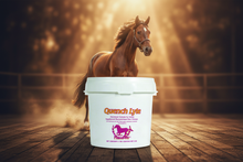 Quench Lyte – Enhanced Product Banner