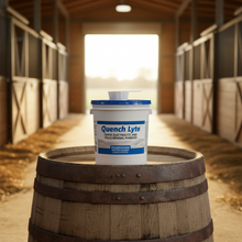 Quench Lyte horse electrolyte and trace mineral powder bucket by Dominion Veterinary Laboratories on a clean barn background.