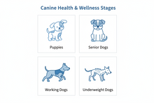 DVL Canine Supplement | Liquid Vitamin & Mineral Support for Dogs