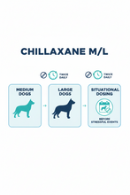 CHILLAXANE M/L | L-Theanine Calming Chews for Medium & Large Dogs