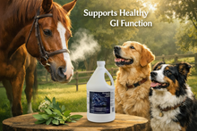 Stomach Coat 4L – Product Banner