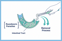 Dog & Cat Worm Tabs | Broad Spectrum Roundworm Treatment for Dogs & Cats