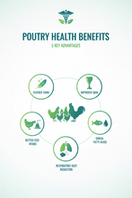 Poultry Liquid Supplement 100 mL | Vitamin & Mineral Feed Supplement for Broilers