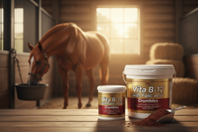 Vita B-12 with Folic Acid Crumbles – Product Banner