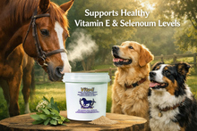 Vita•E 2.5KG – Product Banner
