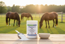 Vitamin C 454g – Product Banner