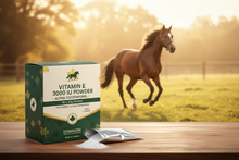 Vitamin E 3000 IU Powder – Product Banner