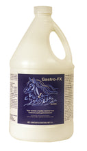 GASTRO-FX 4L | Equine Stomach Support & GI Health Formula for Horses