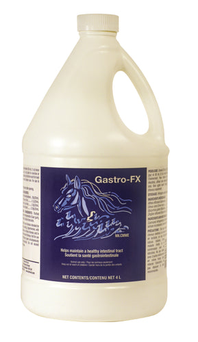 GASTRO-FX 4L