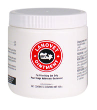 Lanovet Teat Ointment 400g