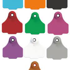 LEADER TAGS  T3 -LARGE BLANK (COMPLETE W/BUTTONS)