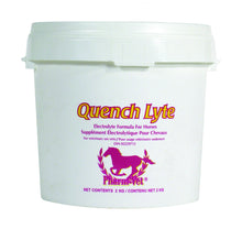Quench Lyte – Horse Electrolyte Powder for Hydration & Electrolyte Balance