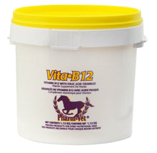 Vita B-12 with Folic Acid Crumbles for Horses