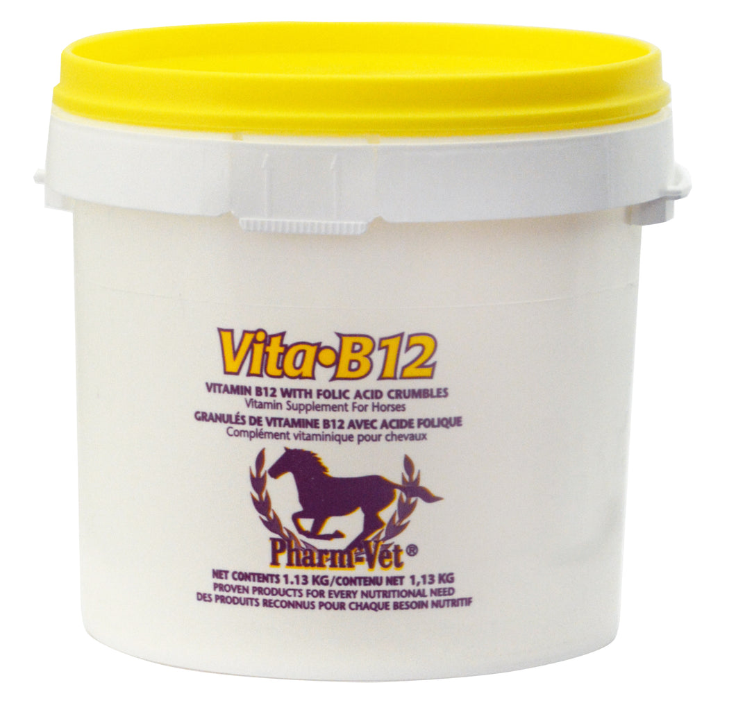 VIT-B12 W/FOLIC ACID helps prevent anemia in horses.